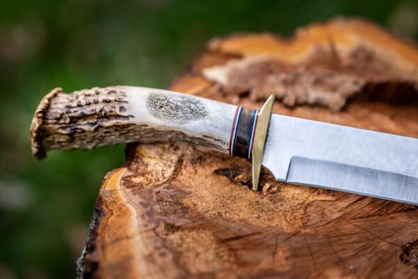 The Wilderness Hunter - Image 2