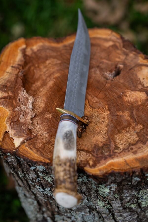 The Wilderness Hunter - Image 4