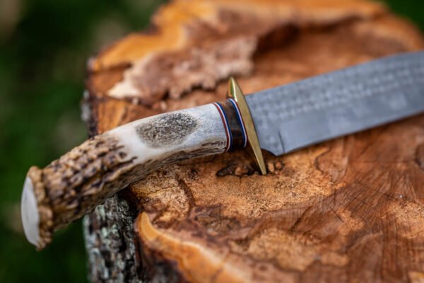 The Wilderness Hunter - Image 5