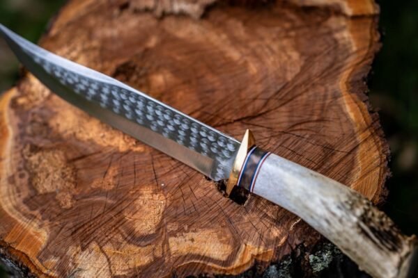 The Wilderness Hunter - Image 6