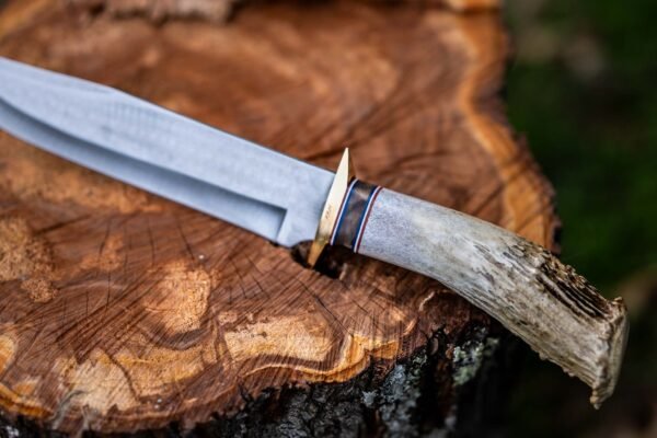 The Wilderness Hunter - Image 8