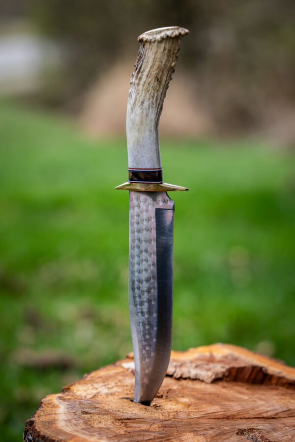 The Wilderness Hunter - Image 10