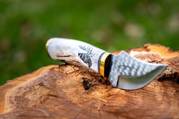 The Scout - Image 10