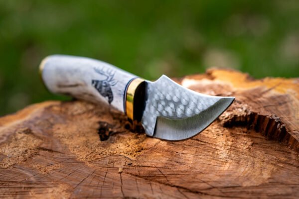 The Scout - Image 11