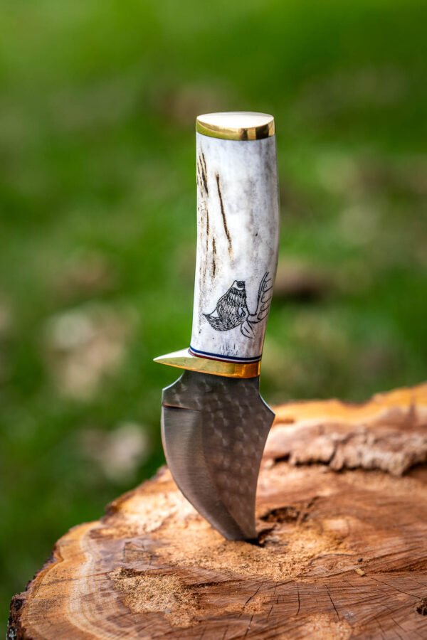 The Scout - Image 12