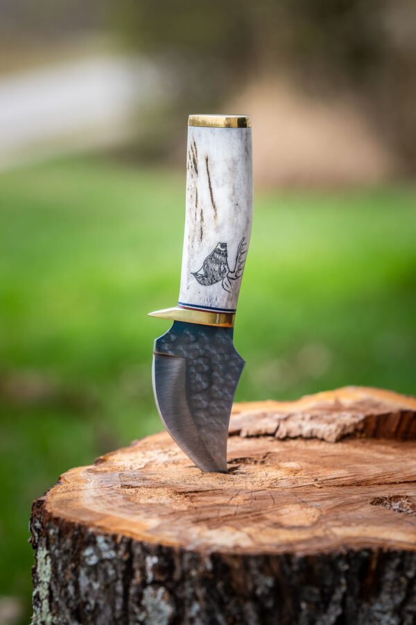 The Scout - Image 13