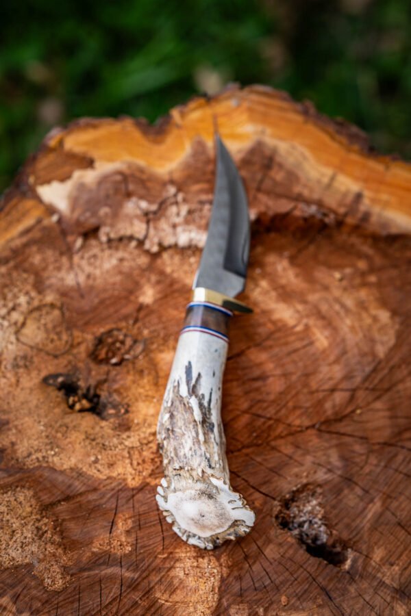 The Woodsman - Image 14