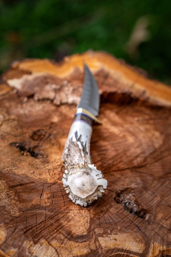 The Woodsman - Image 15