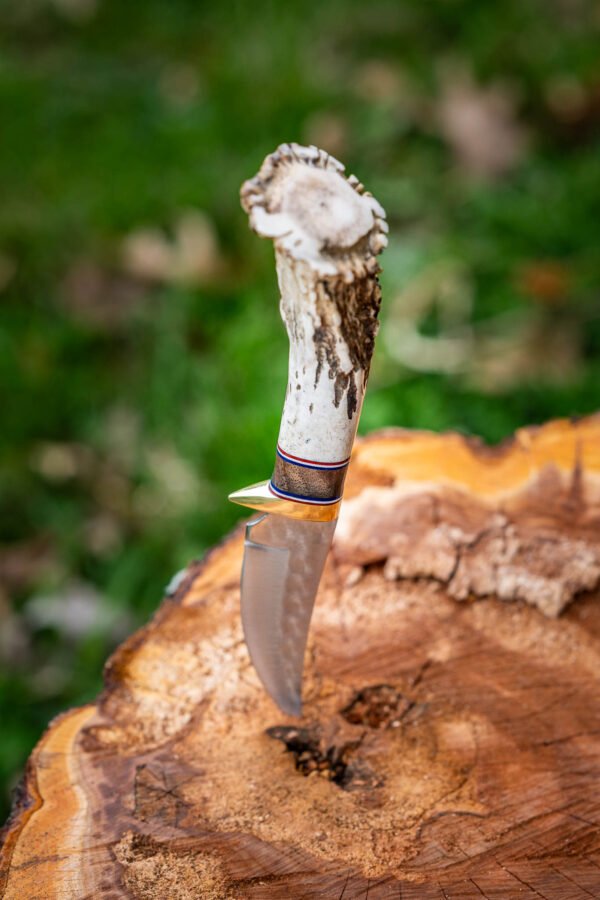 The Woodsman - Image 17