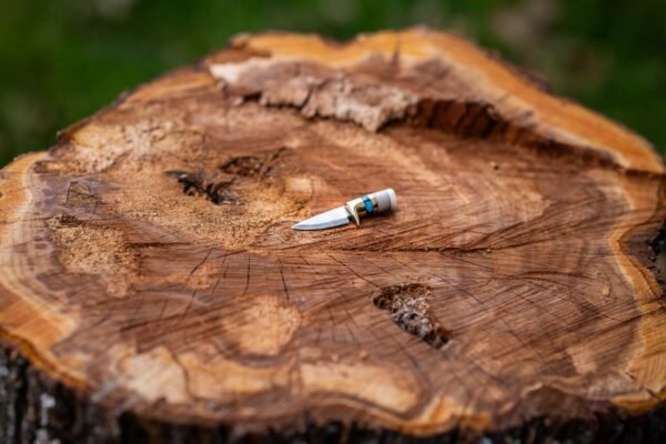 The Mini Trail - Image 7