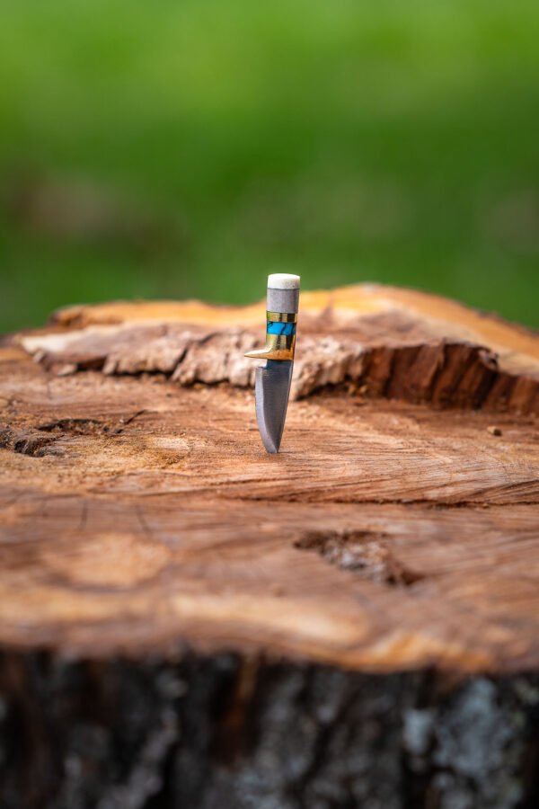 The Mini Trail - Image 9
