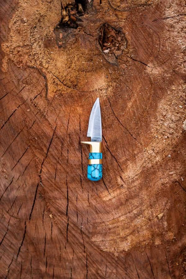 The Mini Explorer - Image 8