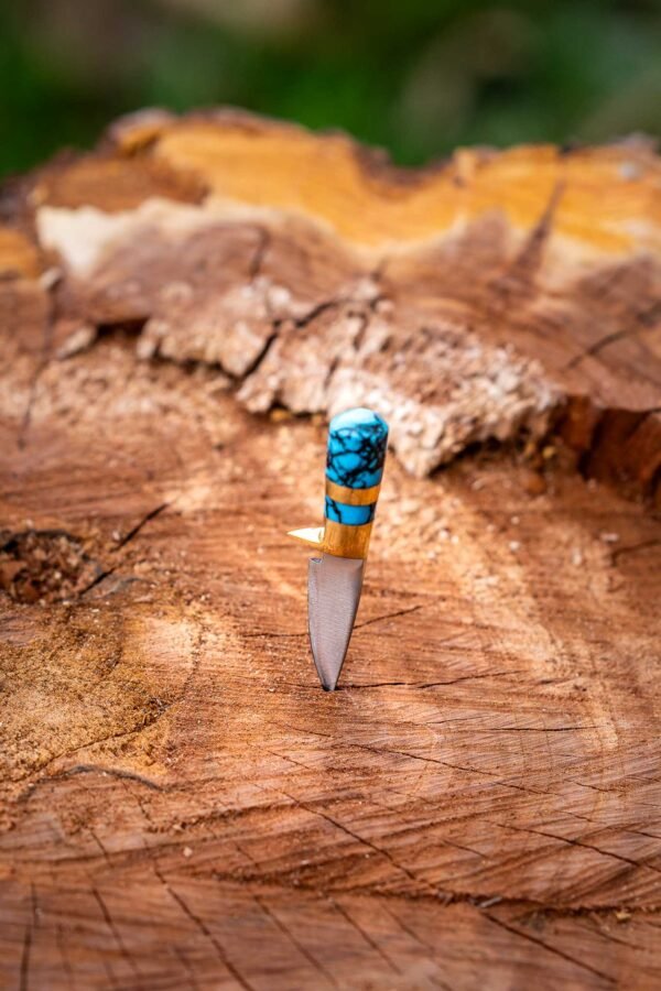 The Mini Explorer - Image 11
