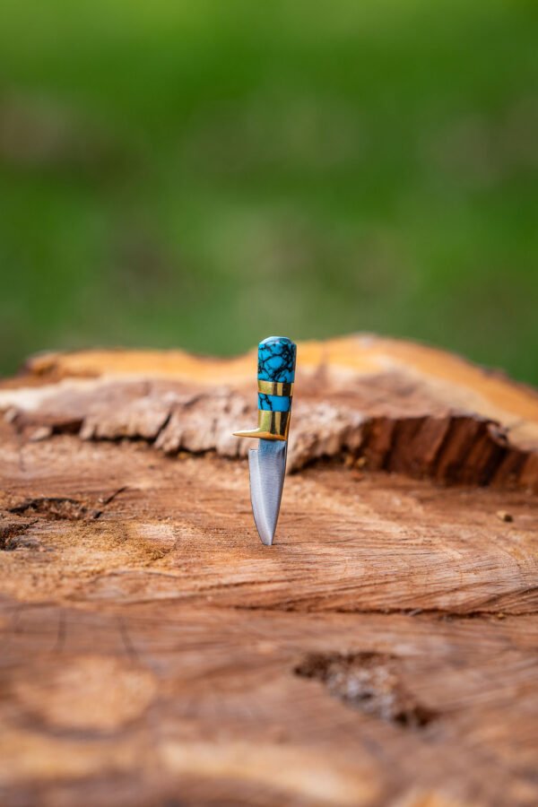 The Mini Explorer - Image 12