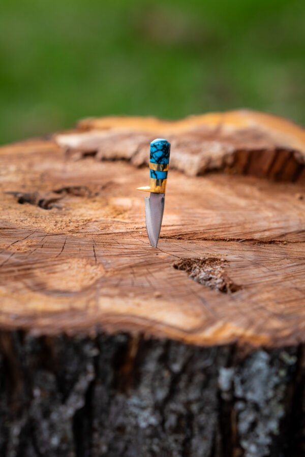 The Mini Explorer - Image 13