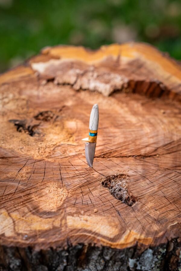 The Mini Wanderer - Image 9