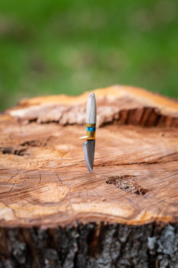 The Mini Wanderer - Image 10