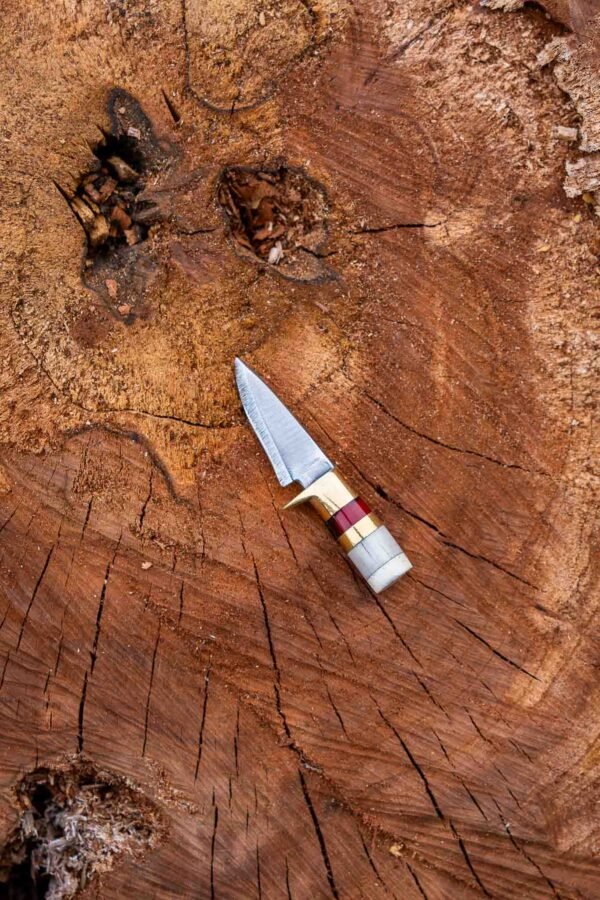 The Mini Hunter - Image 6