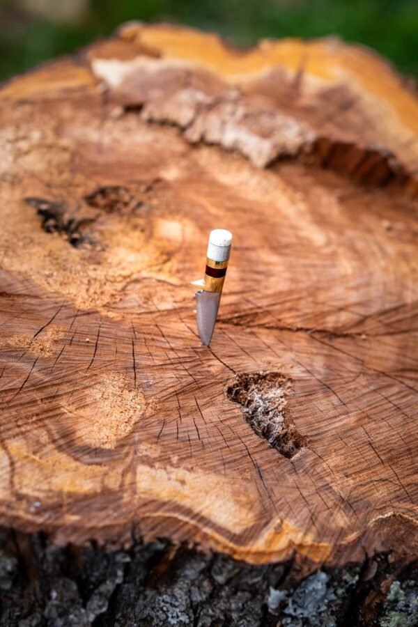The Mini Hunter - Image 8