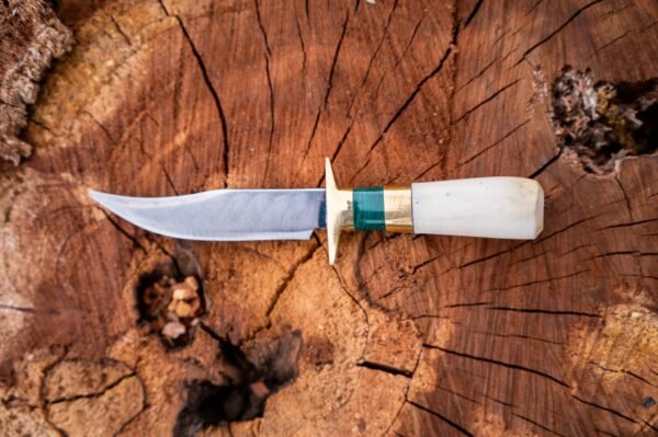 The Greenhorn - Image 5