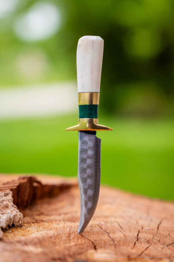 The Greenhorn - Image 4